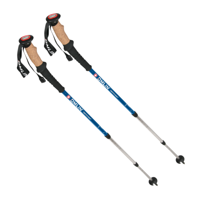 Hiking/Trekking poles ERGOLITE PROTEC ANTISHOCK