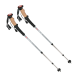 Hiking/Trekking poles ERGOLITE PROTEC ANTISHOCK
